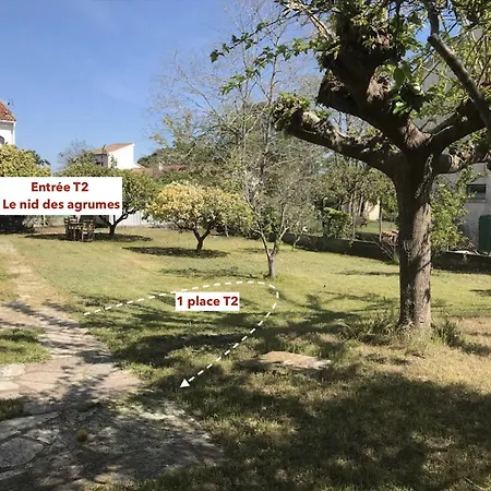 Le Nid Des Agrumes * Lucciana (Corsica)