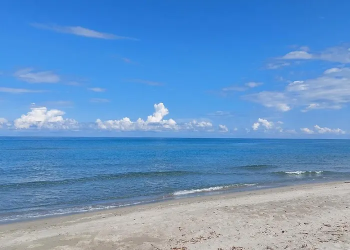 Le Nid Des Agrumes Apartamento