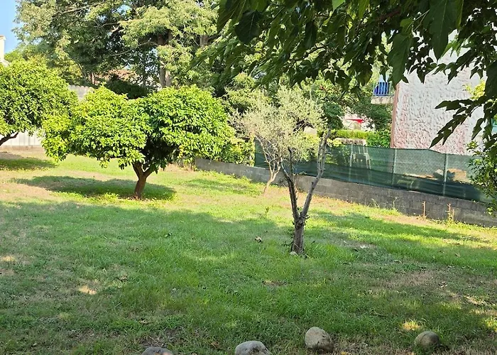 Le Nid Des Agrumes Lucciana (Corsica)