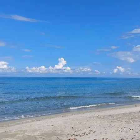 Le Nid Des Agrumes Appartement