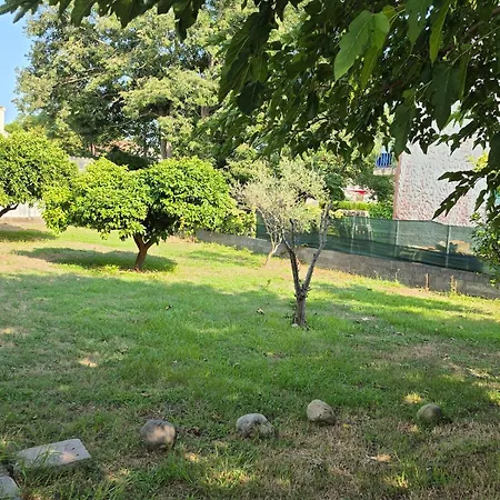 Le Nid Des Agrumes Люссиана